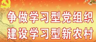 最新政府标语及图片