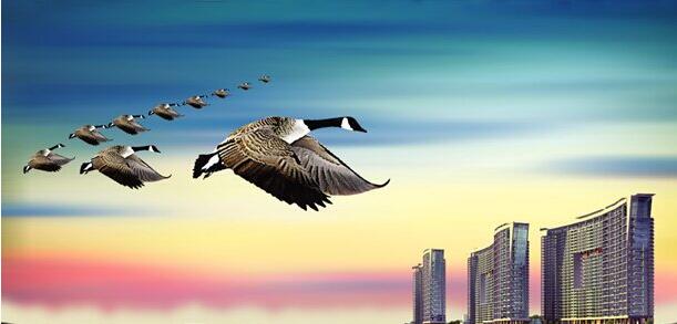 本栏目属于团队口号栏目，原创材料很多，请认真阅读