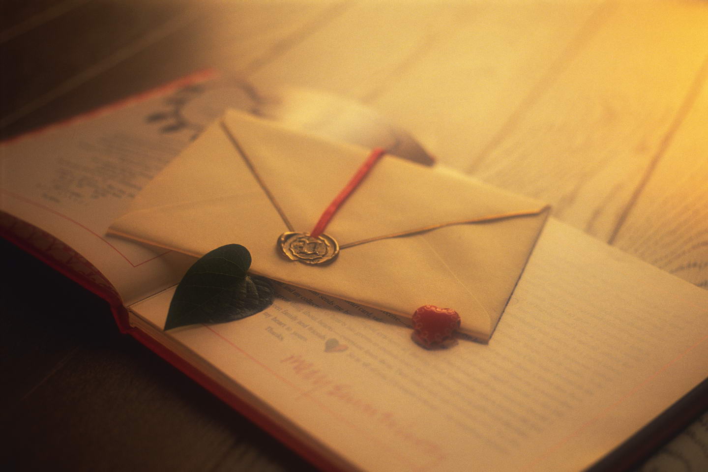 本栏目为请求书信，供您参考