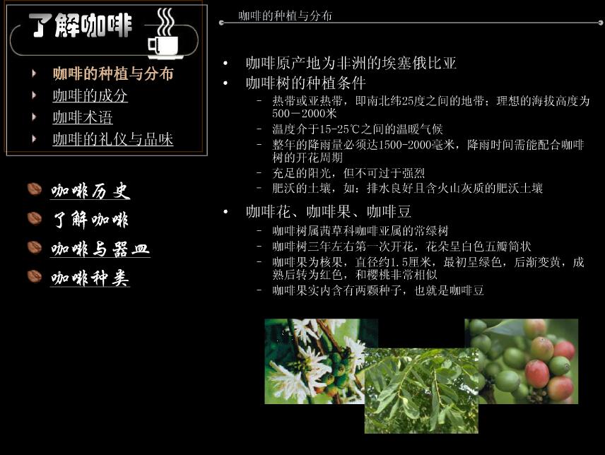 咖啡文案ppt模板精选