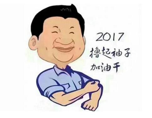 2017年撸起袖子加油干
