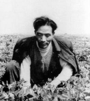 党员学习的十大典型事迹材料：焦裕禄