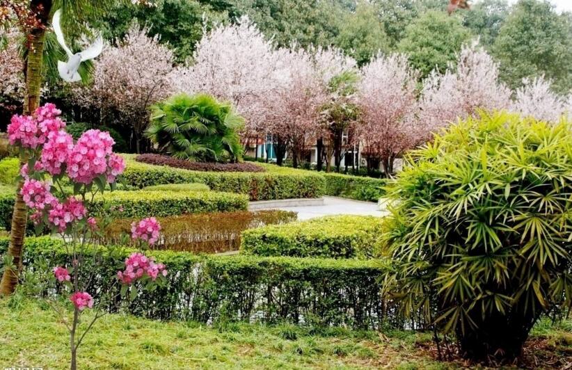 周而复始 万象更新