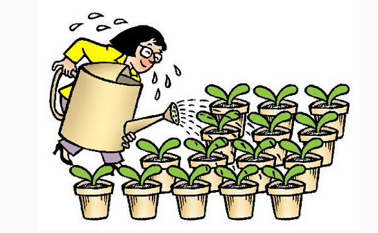 最新班主任工作心得体会