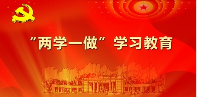 两学一做支部书记发言稿