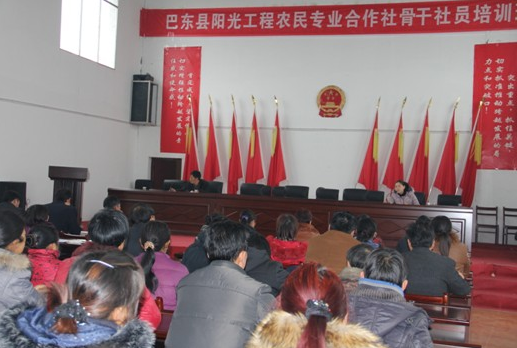 合作社理事长发言稿 合作社理事长发言稿