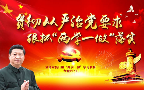 党性分析材料两学一做