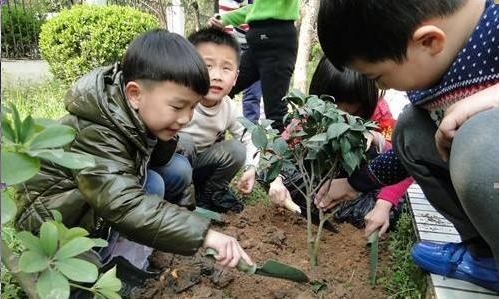 小学生植树节演讲稿2017最新