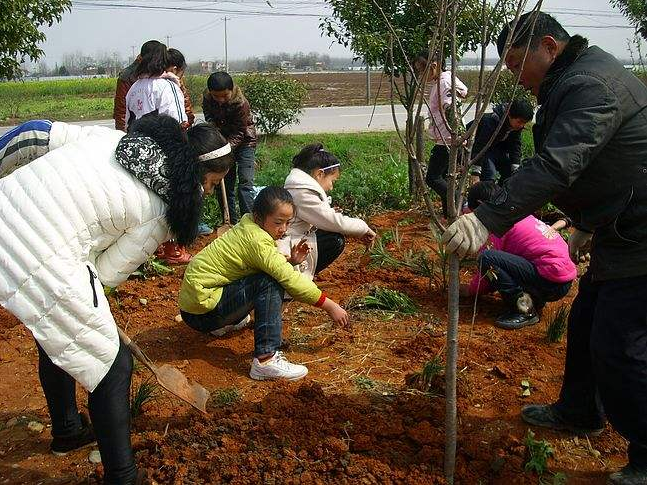 中学植树节演讲稿