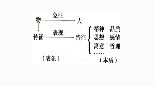 代写散文文章