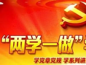 两学一做主题演讲稿