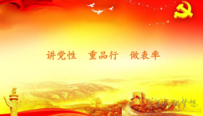 党员活动日情况报告