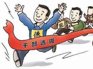 党员排查情况报告